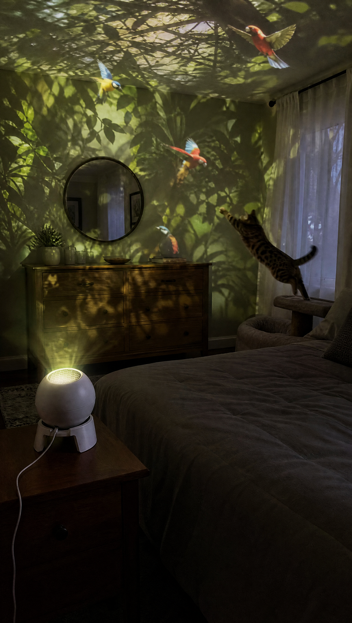 WhiskerBeam CAT Projector